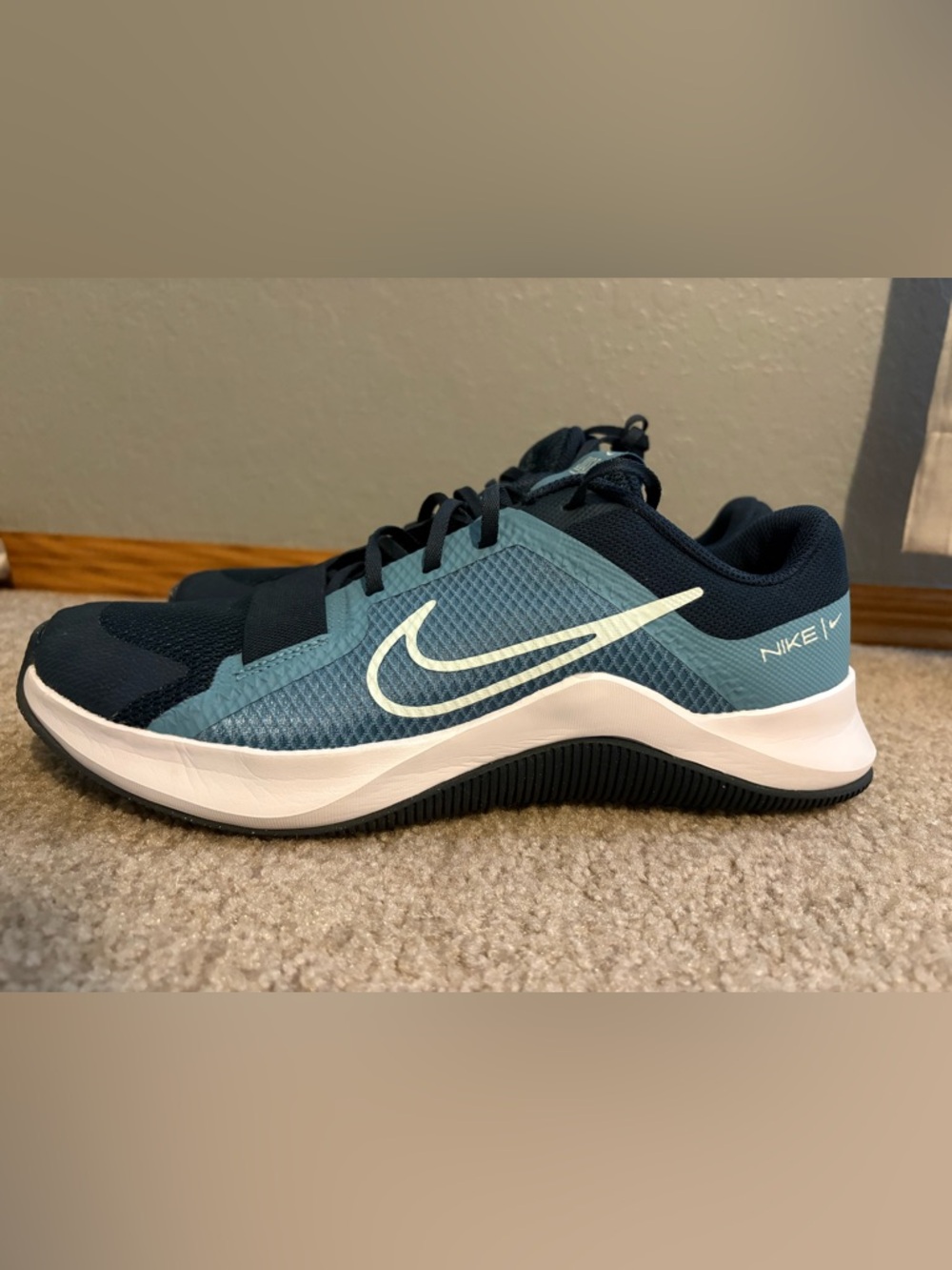 Nike Teal and Navy Mesh Training Shoes with White Swoosh